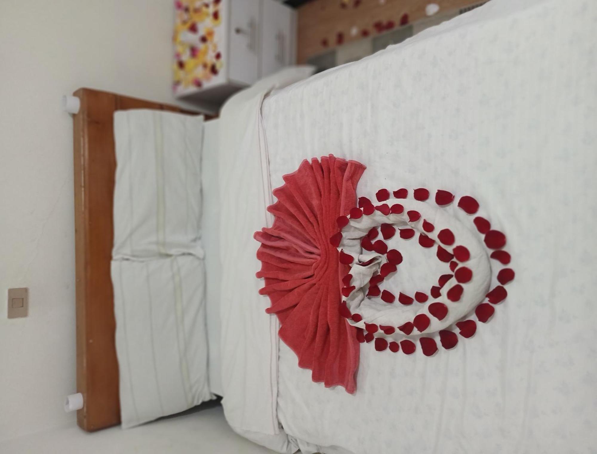 Addis Guest House Екстер'єр фото